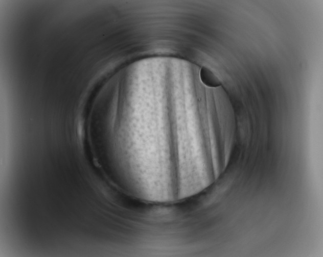 X0000094330350200711161954