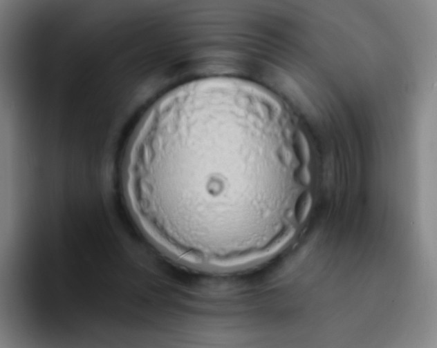 X0000094330351200711161954