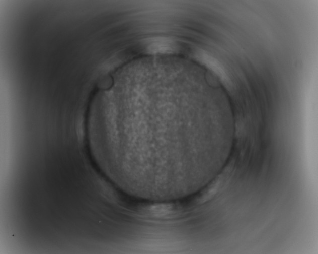 X0000094330353200711161954