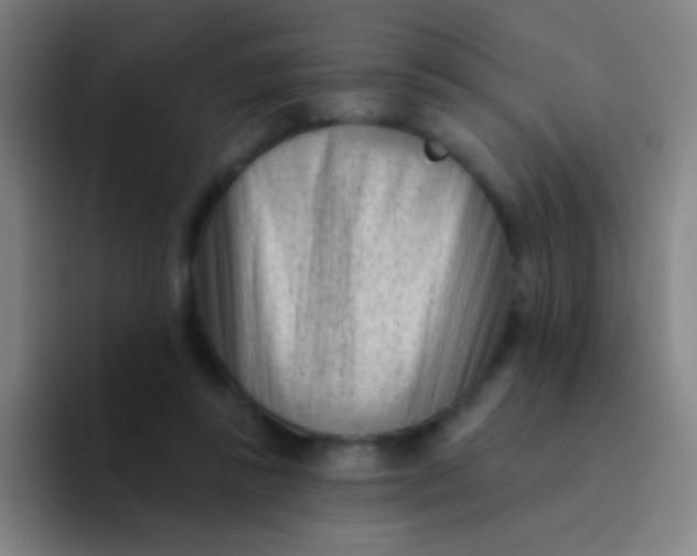 X0000094330355200711161954