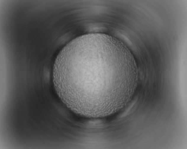 X0000094330357200711161954