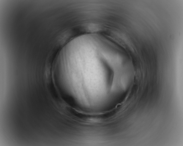 X0000094330360200711161954