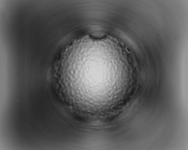 X0000094330361200711161954