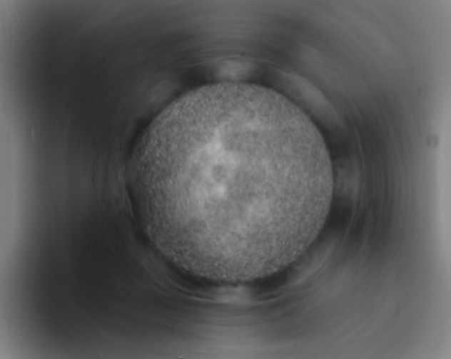 X0000094330363200711161954