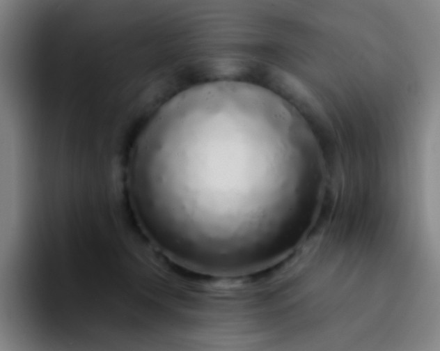 X0000094330366200711161954
