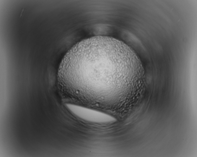 X0000094330367200711161954