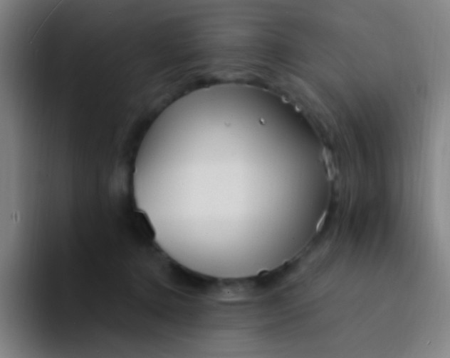 X0000094330368200711161954