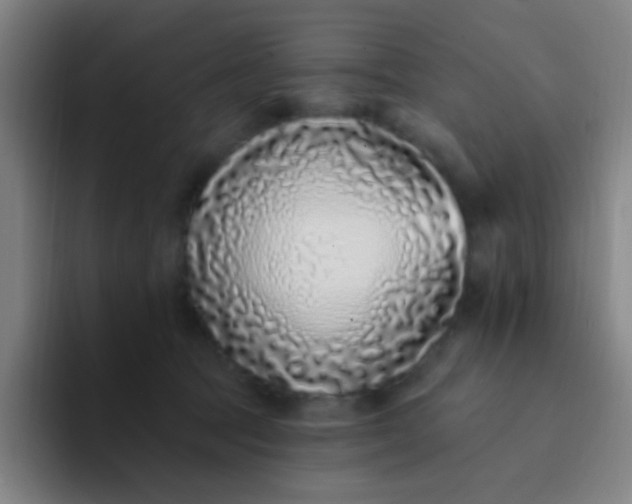 X0000094330369200711161954