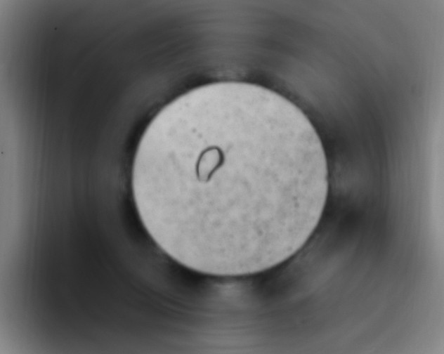 X0000094330370200711161954