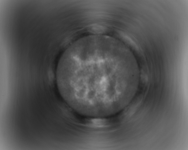 X0000094330371200711161954