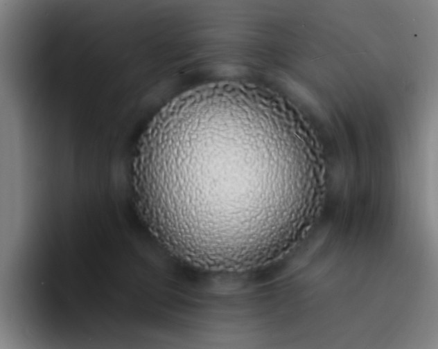 X0000094330373200711161954