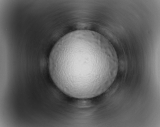 X0000094330375200711161954