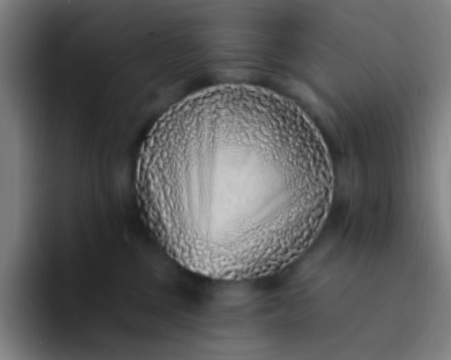 X0000094330377200711161954