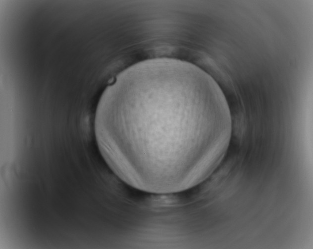 X0000094330378200711161954