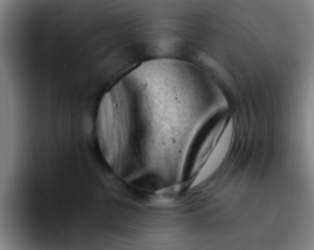 X0000094330380200711161955