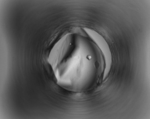 X0000094330382200711161955