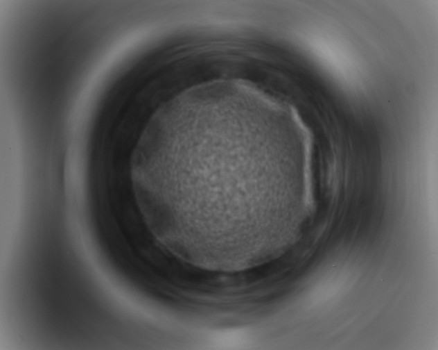 X0000094330383200711161955