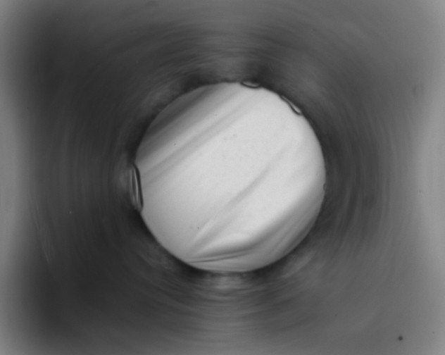 X0000094330384200711161955