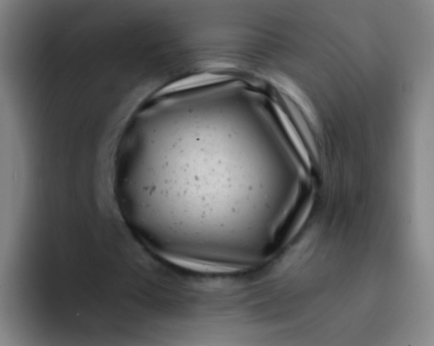 X0000094330385200711161954