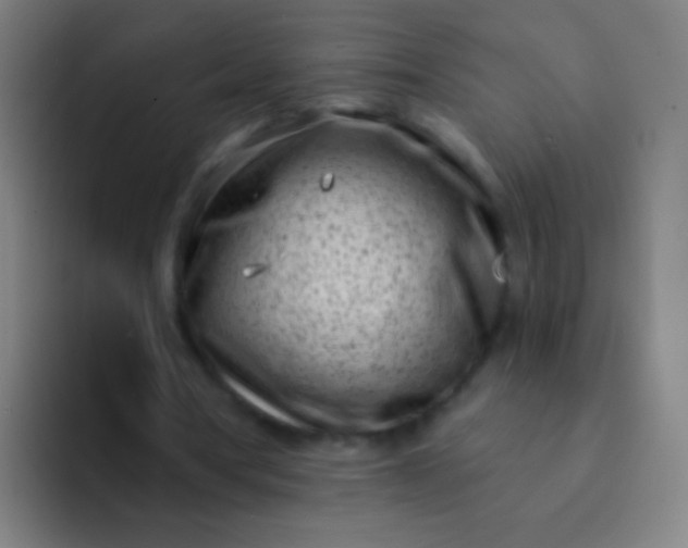 X0000094330386200711161954