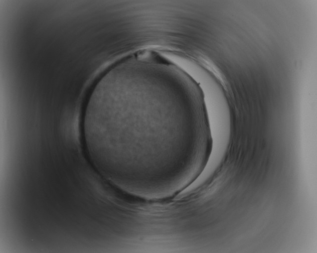 X0000094330387200711161954