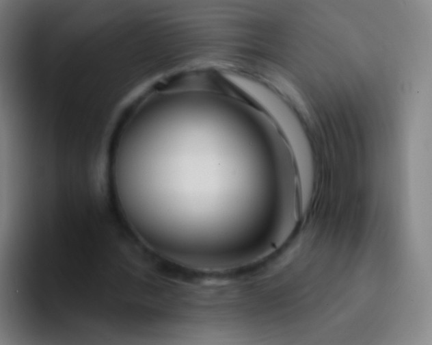 X0000094330388200711161954
