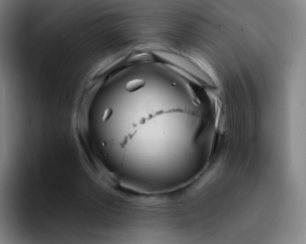X0000094330389200711161954