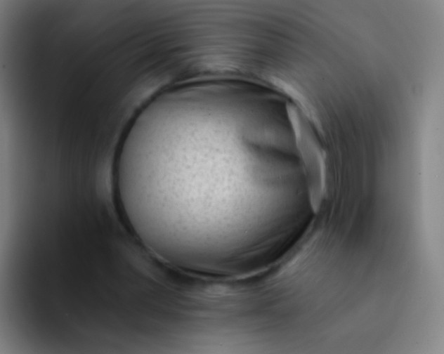 X0000094330390200711161954