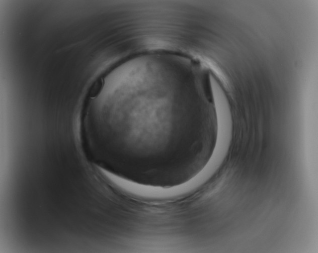 X0000094330391200711161954