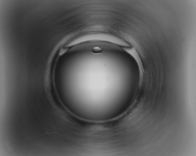 X0000094330392200711161954