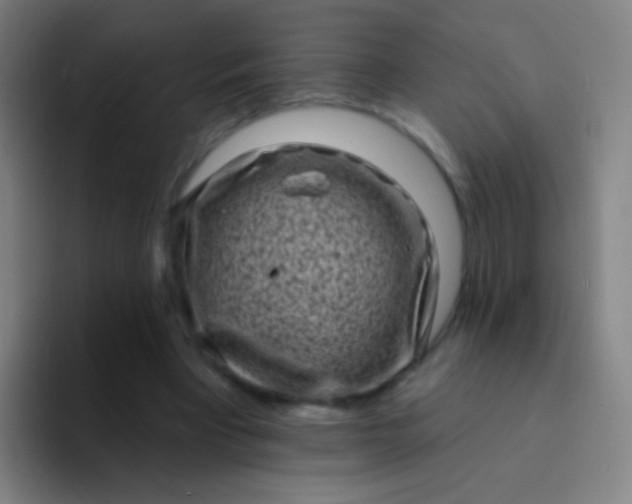 X0000094330393200711161954