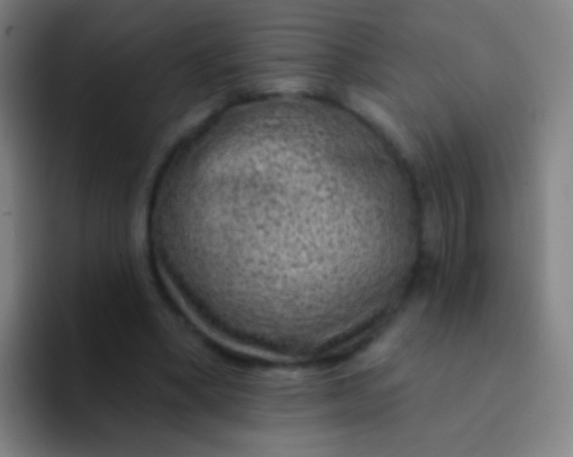X0000094330394200711161954