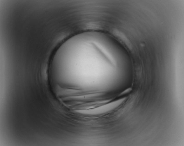 X0000094330395200711161954