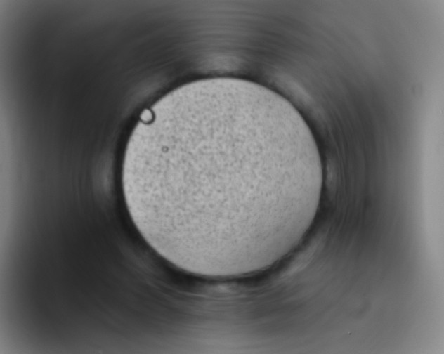 X0000094330396200711161954