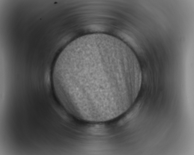 X0000094330398200711161954