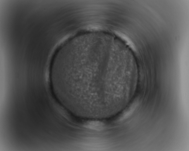 X0000094330399200711161954
