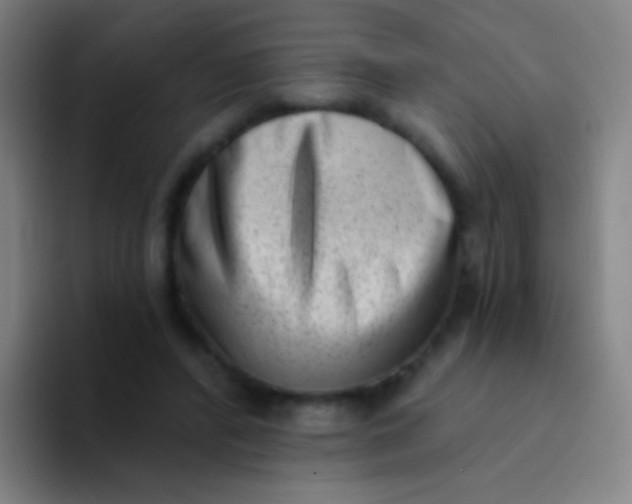 X0000094330400200711161954