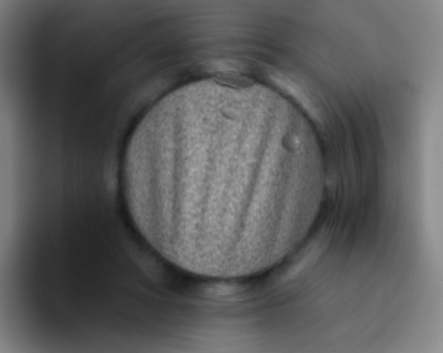 X0000094330402200711161954
