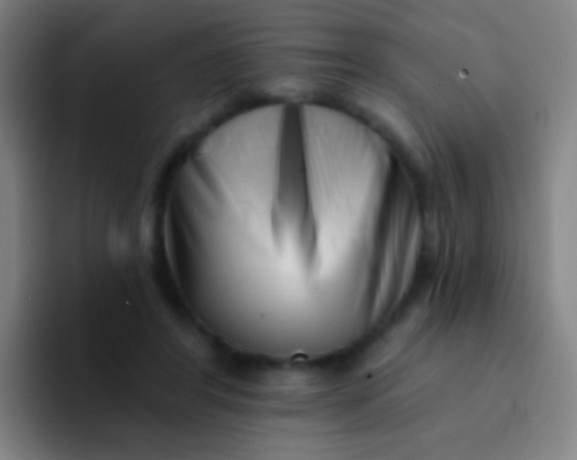 X0000094330404200711161954