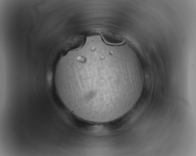 X0000094330406200711161954