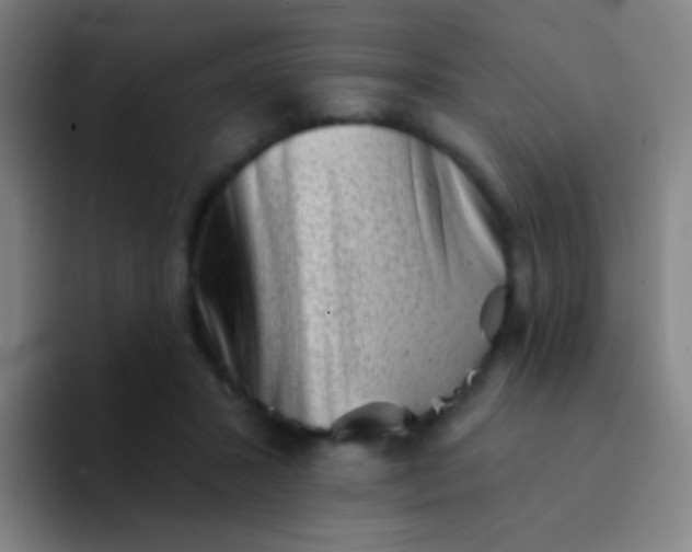X0000094330407200711161954