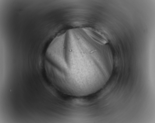 X0000094330408200711161954