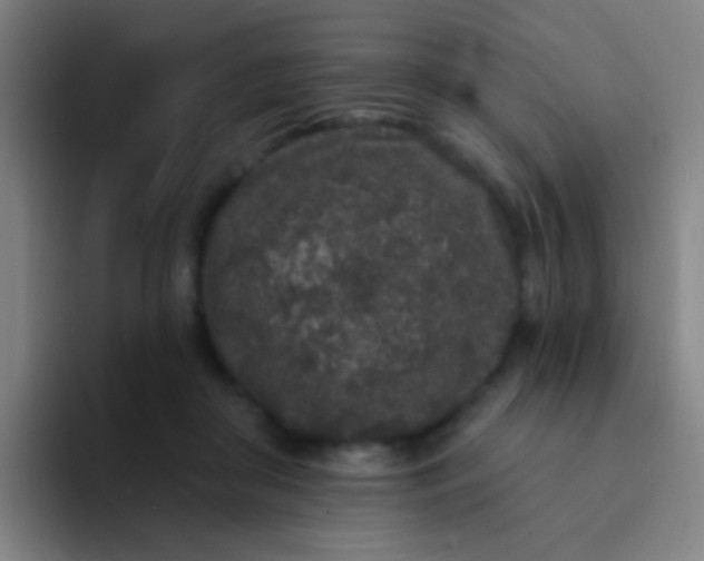 X0000094330410200711161954