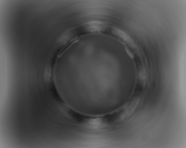 X0000094330411200711161954
