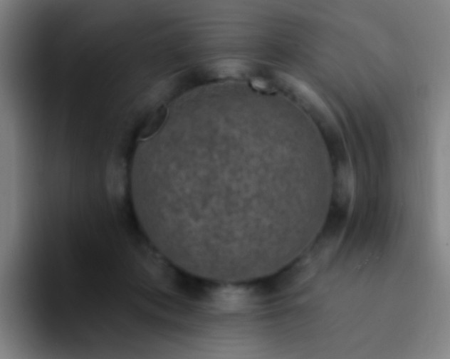 X0000094330413200711161954