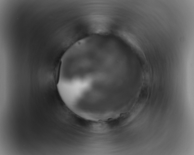 X0000094330415200711161954