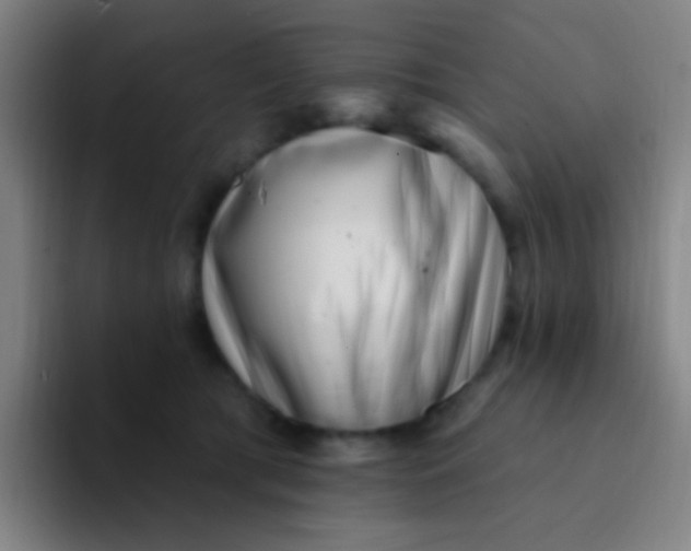 X0000094330417200711161954