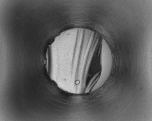 X0000094330419200711161953