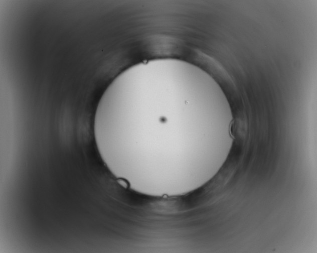 X0000094330422200711161953