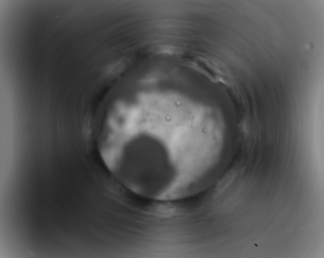 X0000094330423200711161953
